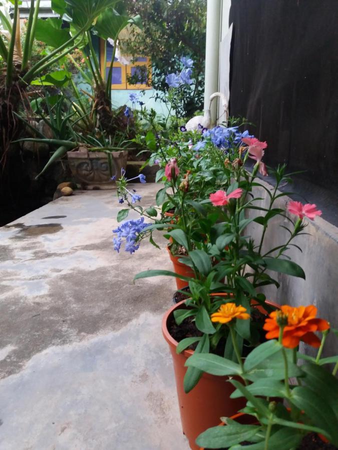 Mazz Homestay Negombo Dış mekan fotoğraf