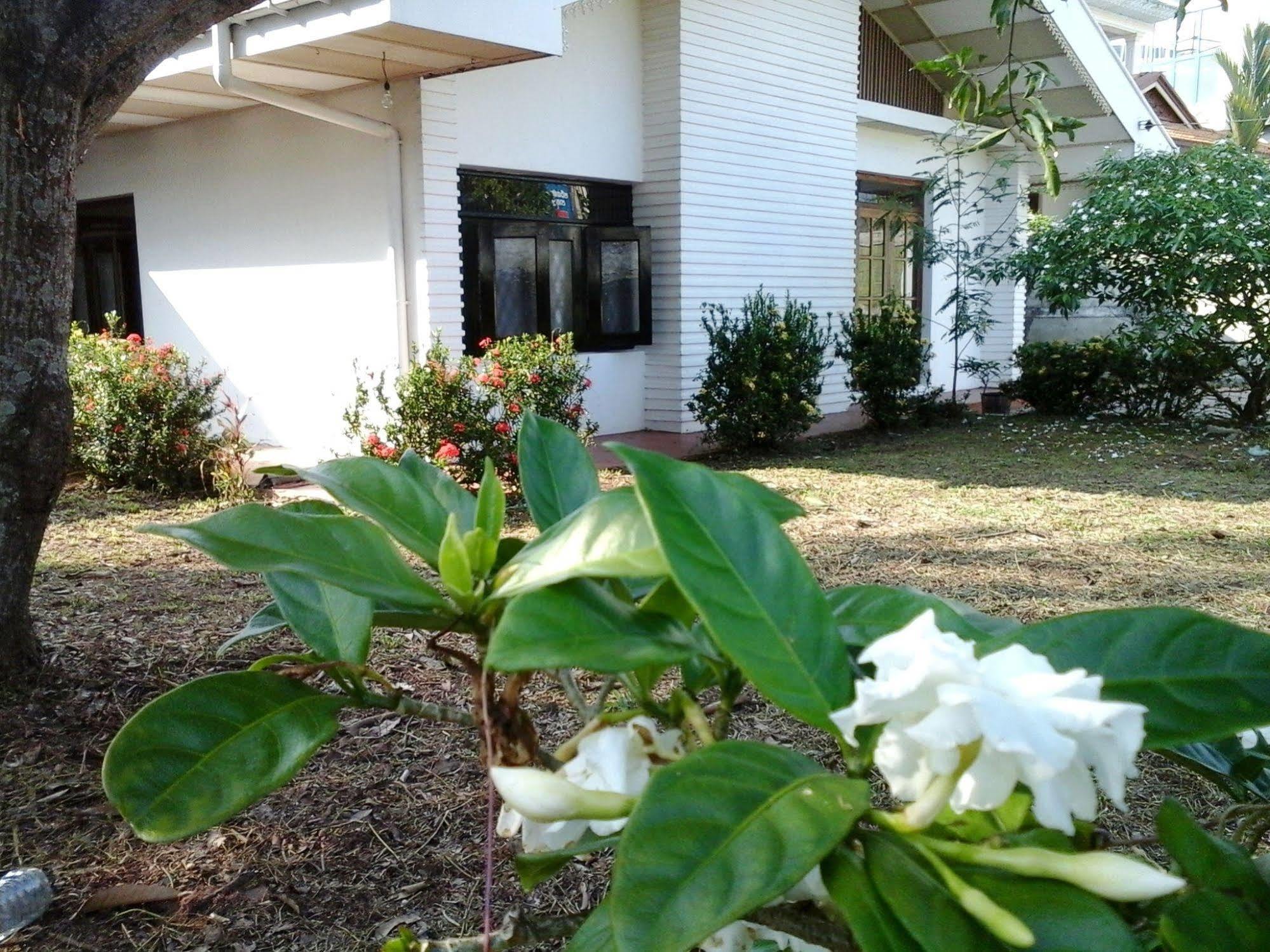Mazz Homestay Negombo Dış mekan fotoğraf