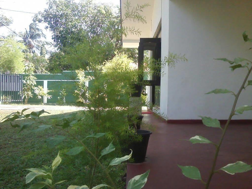Mazz Homestay Negombo Dış mekan fotoğraf