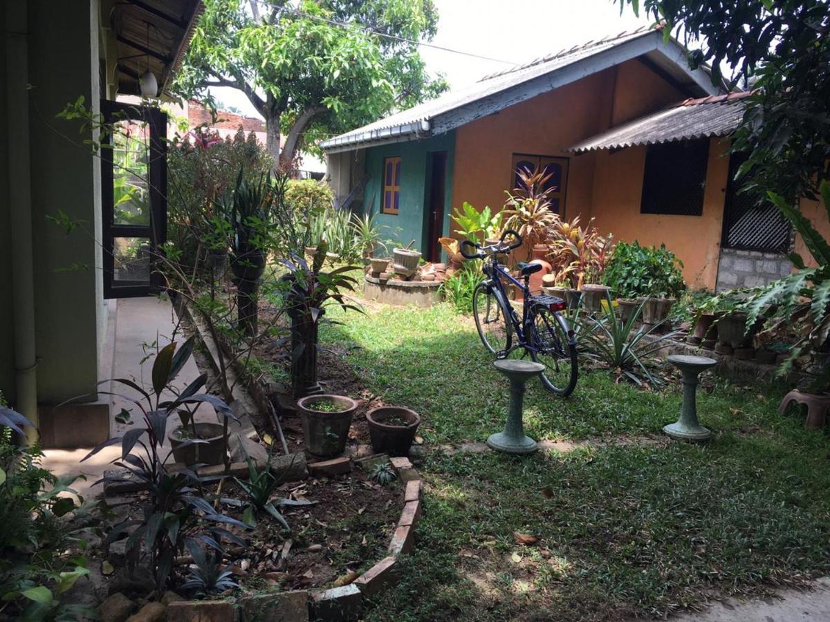 Mazz Homestay Negombo Dış mekan fotoğraf